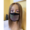 Alpha Kappa Alpha Inspired Flag Face Mask Clear